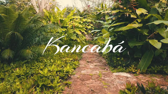 Kancabá - Yucatán - MX